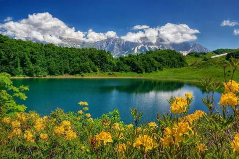 Краснодарский край